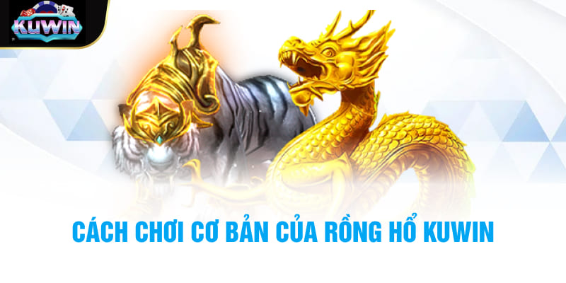 Cách chơi cơ bản của Rồng hổ Kuwin