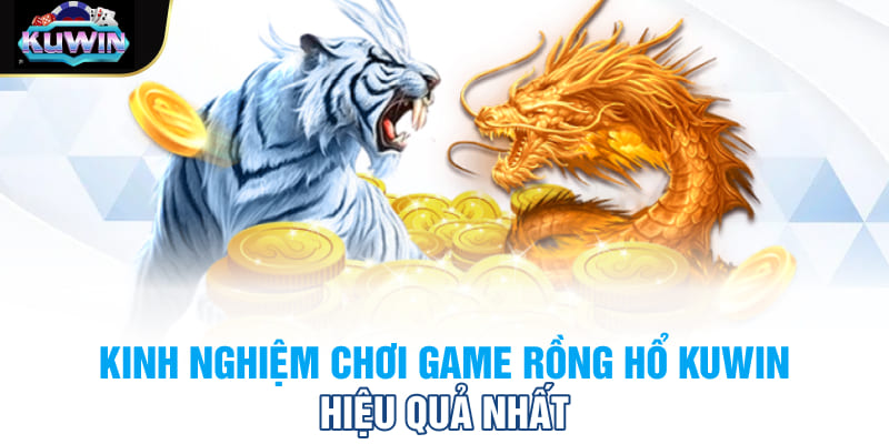 Kinh nghiệm chơi game Rồng hổ Kuwin hiệu quả nhất